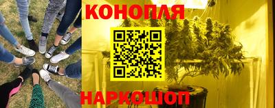мдпв Новокубанск