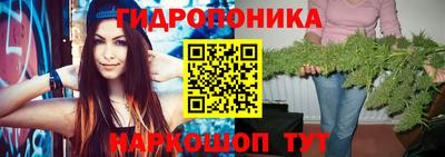 экстази Новодвинск