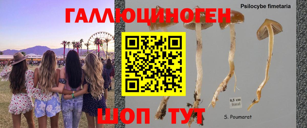 Галлюциногенные грибы Magic Shrooms Хабаровск