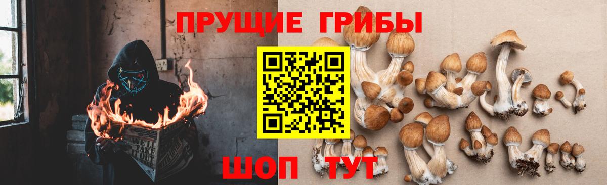 Псилоцибиновые грибы GOLDEN TEACHER  Вход с VPN  Хабаровск 